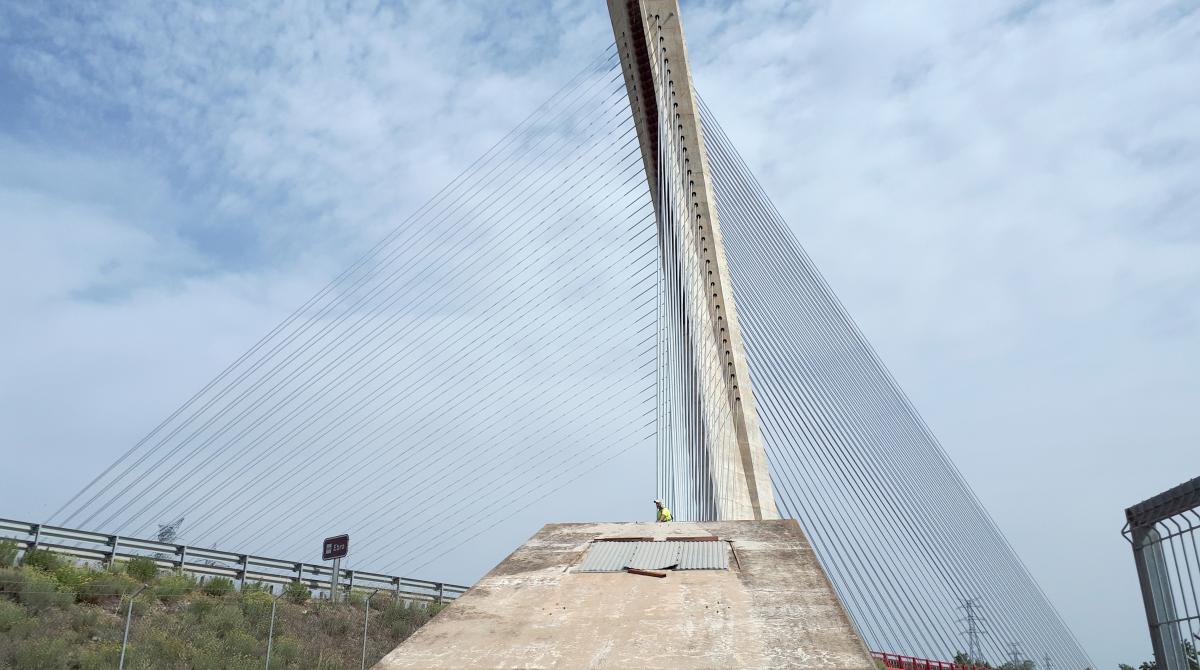 Sancho el Mayor Cable-Stayed Bridge 