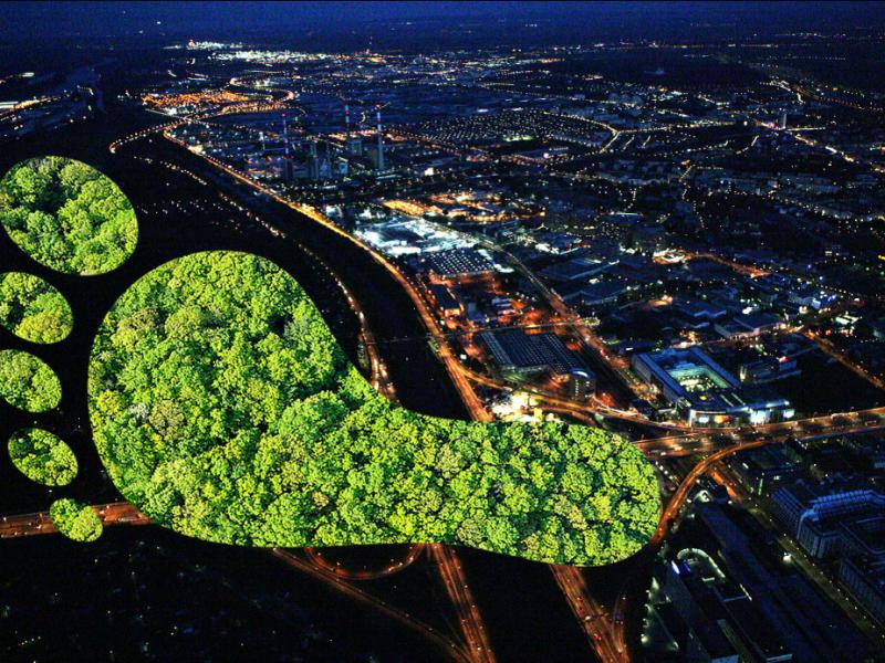 Decarbonisation First 